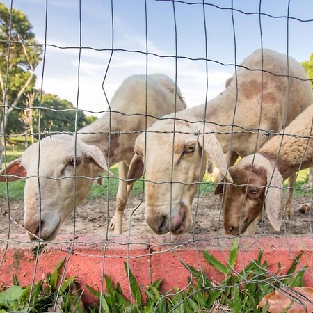 Hotel Fazenda Canto Da Serra Jaconé エクステリア 写真