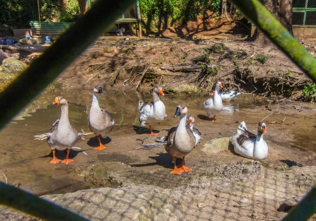 Hotel Fazenda Canto Da Serra Jaconé エクステリア 写真