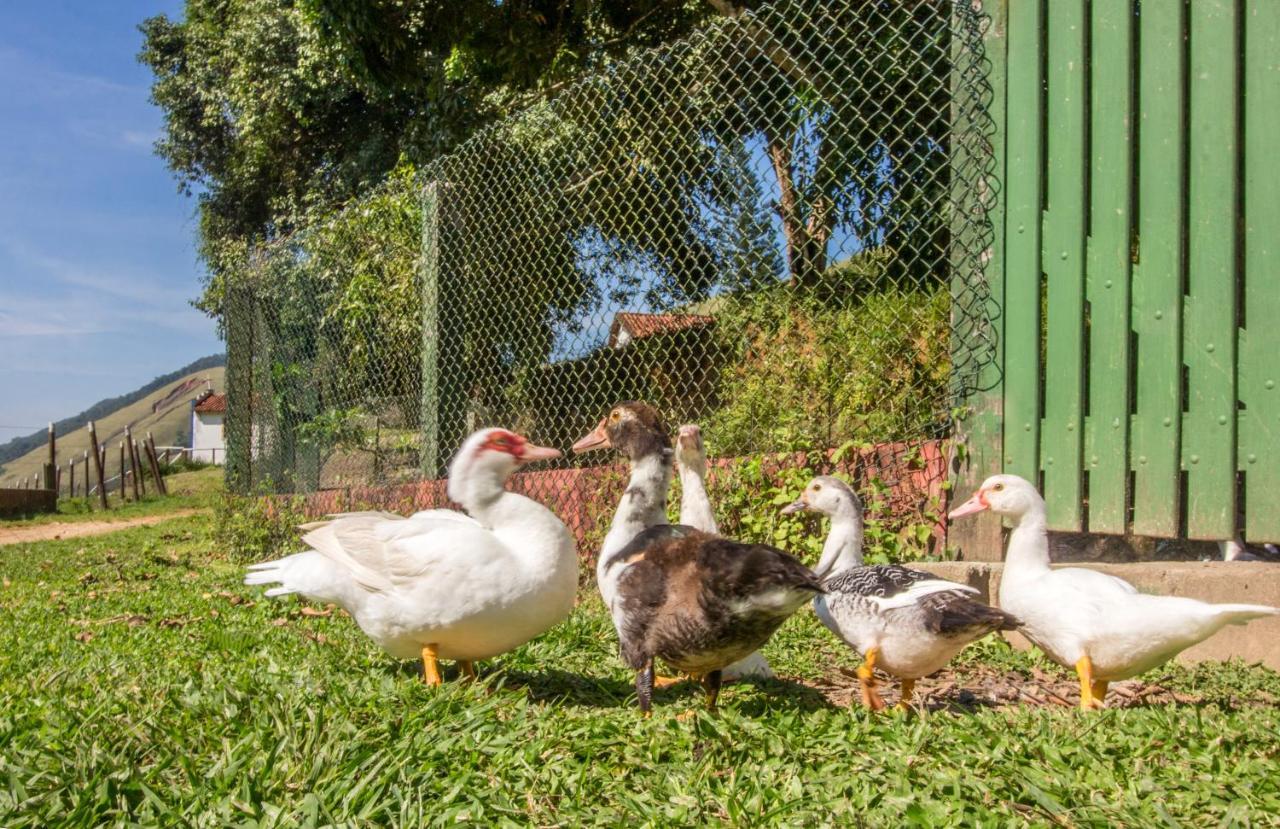 Hotel Fazenda Canto Da Serra Jaconé エクステリア 写真