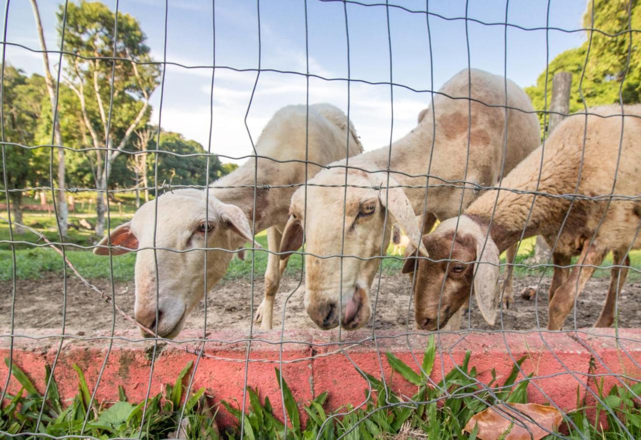 Hotel Fazenda Canto Da Serra Jaconé エクステリア 写真