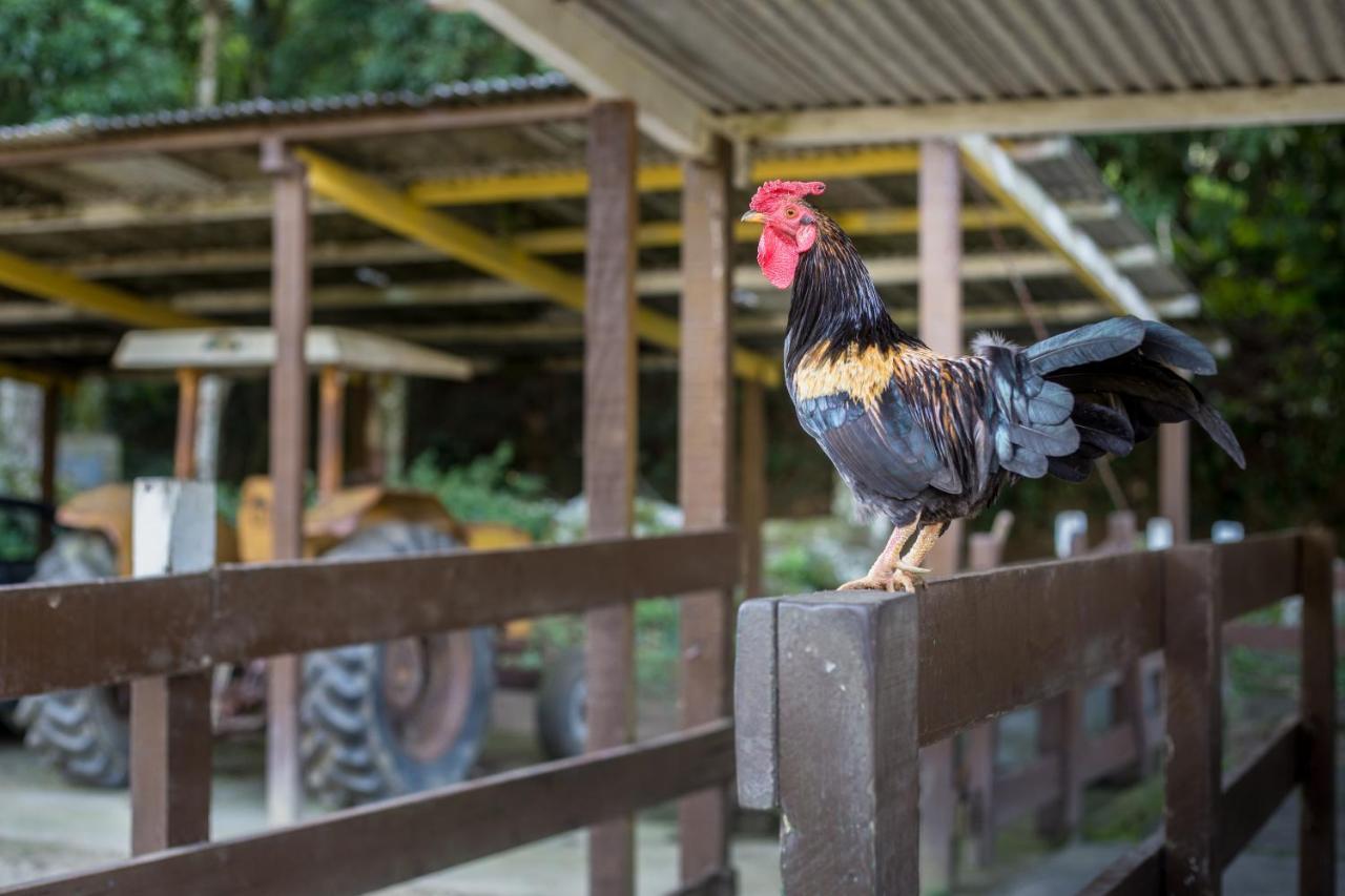 Hotel Fazenda Canto Da Serra Jaconé エクステリア 写真